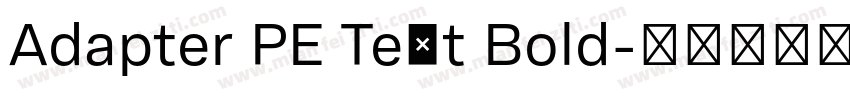 Adapter PE Text Bold字体转换